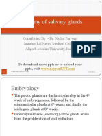 Anatomy of Salivary Glands