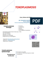 Toxoplasmosis Curso Infecto Febrero 2019