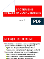 cursul 3 GST bacterii si mycobacterii