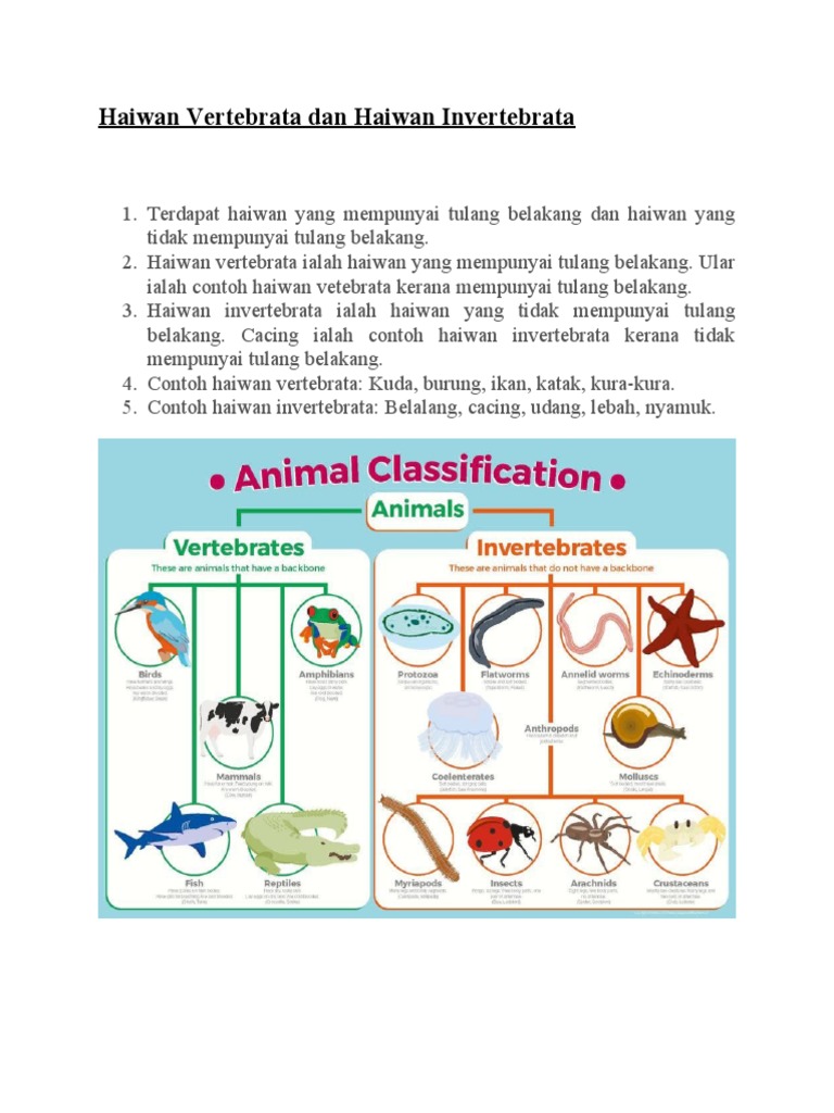 Haiwan Vertebrata Dan Haiwan Invertebrata Pdf