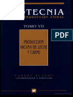 PRODUCCION BOVINA DE CARNE Y LECHE.pdf