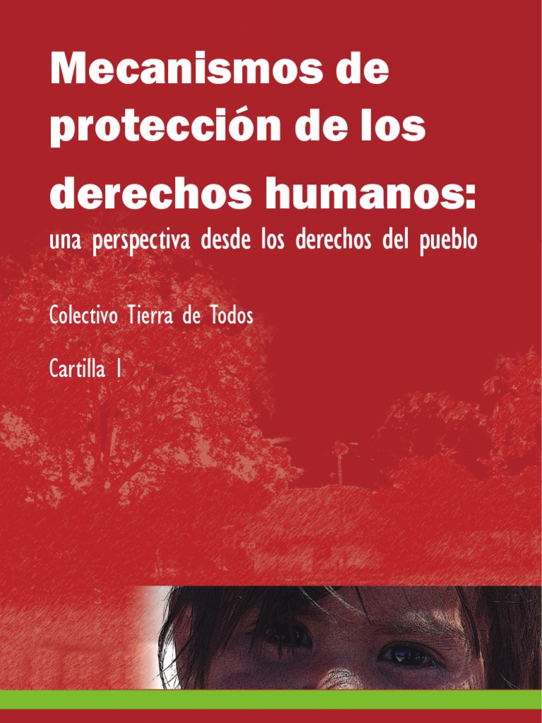 Cartilla 1 Mecanismos Proteccion de Los DDHH | PDF | Derechos humanos ...