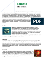 Disorders PDF