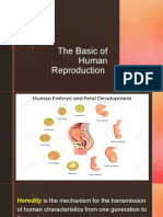 The Basic of Human Reproduction