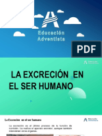 La Excrecíon en El Ser Humano