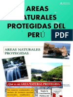 Areas Naturales Protegidad