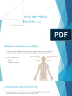 Sistema Nervioso Periférico
