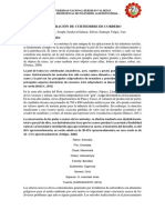 ELABORACIÓN DE CURTIEMBRE DE CORDERO.pdf