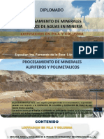 MODULO I - LIXIVIACION EN PILAS Y COLUMNA (Autoguardado) PDF