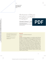 Mechanism of disease pemphigus and bullois pemphigoid - hammers 2016.pdf