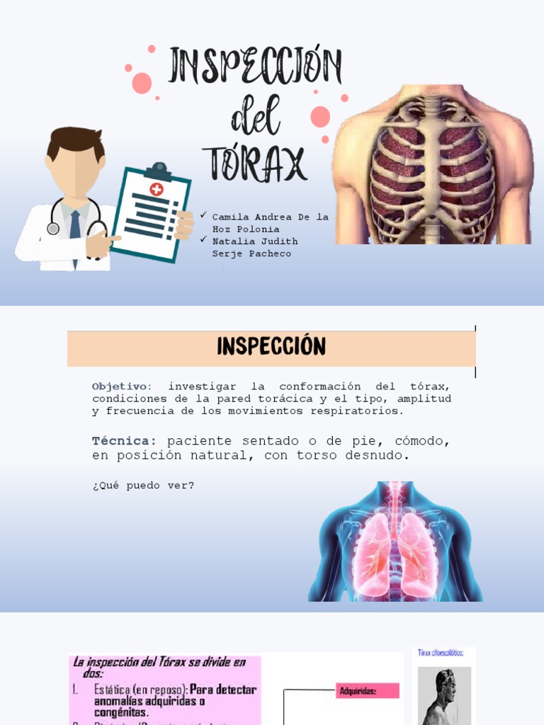 Inspección del Tórax y Movimientos Respiratorios | PDF | Tórax ...