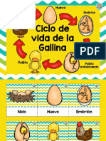 Ciclos Vitales para Niños 1 11 PDF