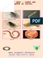 Folder_Insects