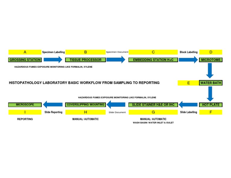 Histopathology Lab Workflow Overview | PDF