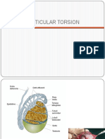 Torsio Testis