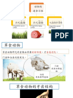 动物牙齿的特点以及原因