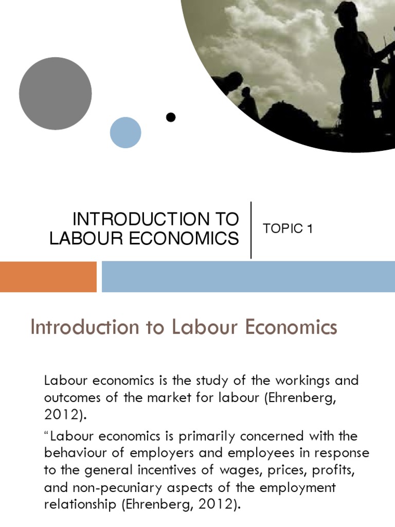 Introduction to Labour Economics | PDF | Labour Economics | Economics
