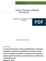 Conceitos e Terminologias Aplicados Na Silvicultrua