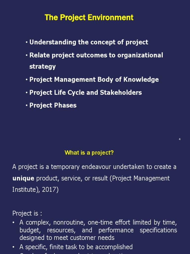 Project Environment and Characteristics | PDF