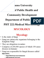 Maseno University School of Public Health and Community Development Department of Public Health PHT 222:medical Microbiology