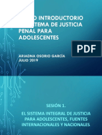 Curso Introductorio Al Sistema de Justicia Penal para Adolescentes