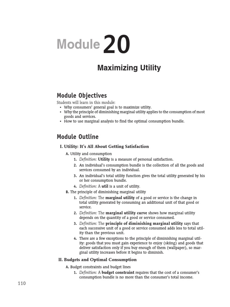 Maximizing Utility in Consumer Choices | PDF | Utility | Microeconomics