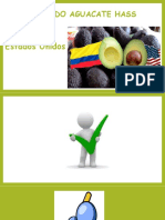 Mercado Aguacate Hass: Estados Unidos