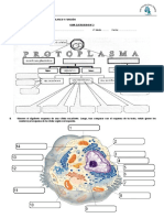 Ejercicios2 4 PD Bio