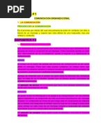 Comunicacion Organizacional