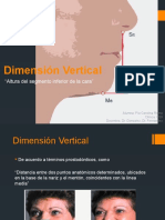 Dimensión Vertical