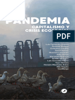pandemia.-capitalismo-y-crisis-ecosocial-4