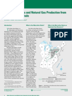 Water Resources and Natural Gas Production from the Marcellus Shale