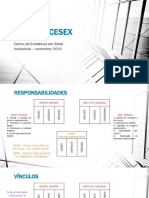 Projeto Cesex PDF