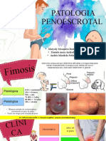 Patologia Penoescrotal. 1