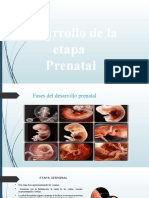 Etapa Prenatal y Nacimiento