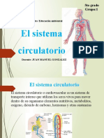 El Sistema Circulatorio