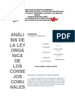 185004821-Analisis-de-La-Ley-Organica-de-Los-Consejos-Comunales.docx
