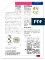 Virus Que Provocan Exantema. Fichas de Virus de La Rubeola, Virus Del Sarampión, Virus Coxsackie A16, Virus Del Herpes y Parvovirus B19.