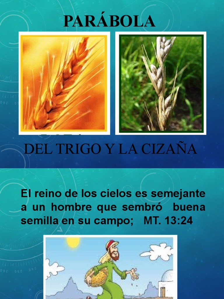 Parábola del Trigo y la Cizaña | PDF