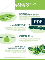 Ciclo de Vida de Una Mariposa