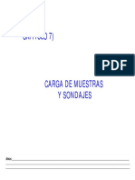CAPITULO 7_Carga Muestras y DDH.pdf