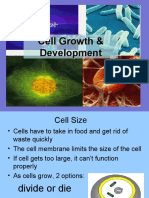 Cell Growth & Development