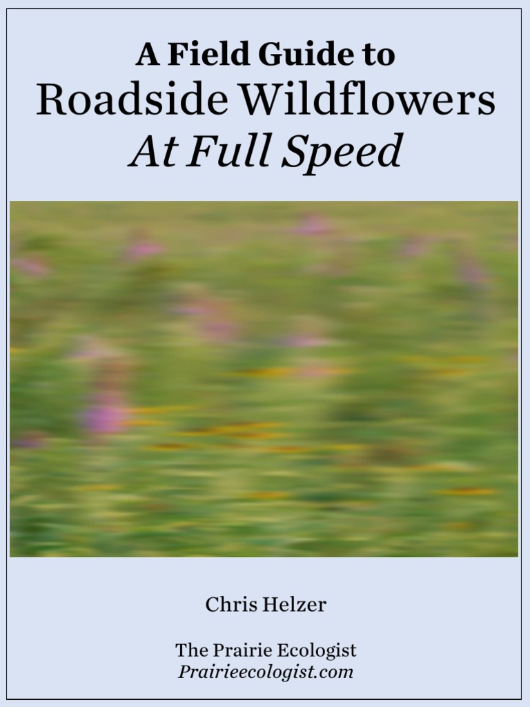 Roadside Wildflowers Guide | PDF | Flowers | Horticulture And Gardening