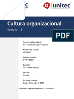 Tarea 1.1 - Conociendo Mi Cultura Organizacional
