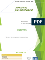 Practica #06 Observaciones de Sales Minerales PDF