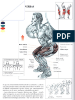 guia de los movimientos de musculacion - libro - 111 pags - paidotribo.pdf