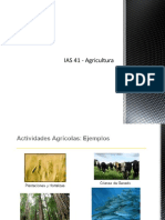 IAS 41 - Agricultura