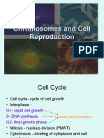 Chromosomes and Cell Reproduction