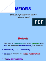 MEIOSIS Rev2
