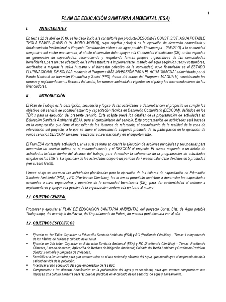 Plan de Educación Sanitaria Ambiental | PDF | Lavado de manos | Agua